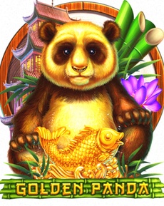 Alles Wat Je Moet Weten Over Casino Flash: Online Spelen, Inloggen en App Gebruik in NL