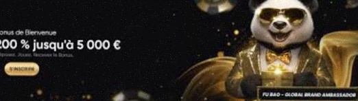 Beste Online Casino PaysafeCard Nederland 2025 – Veilig Storten & Spelen