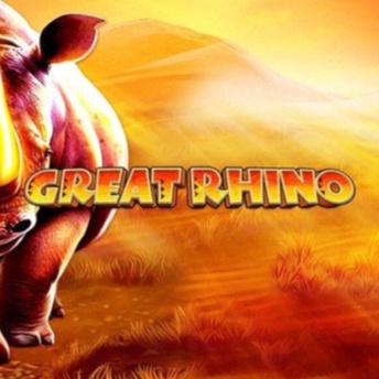 Bingo Kaarten - Compleet Assortiment voor Online en Live Bingo Spelen